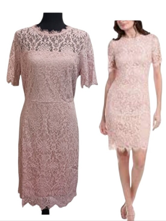 Miusol Dresses & Skirts - Lace Sheath Cocktail Dress Blush Pink